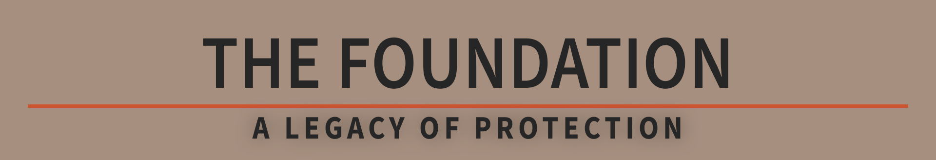 The Foundation: a legacy of protection