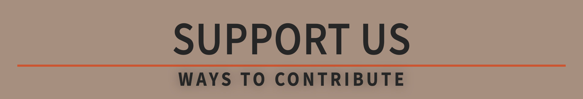 Support Us: ways to contribute